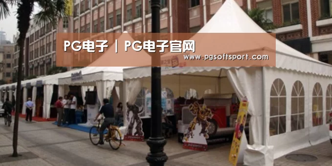 案例标题九