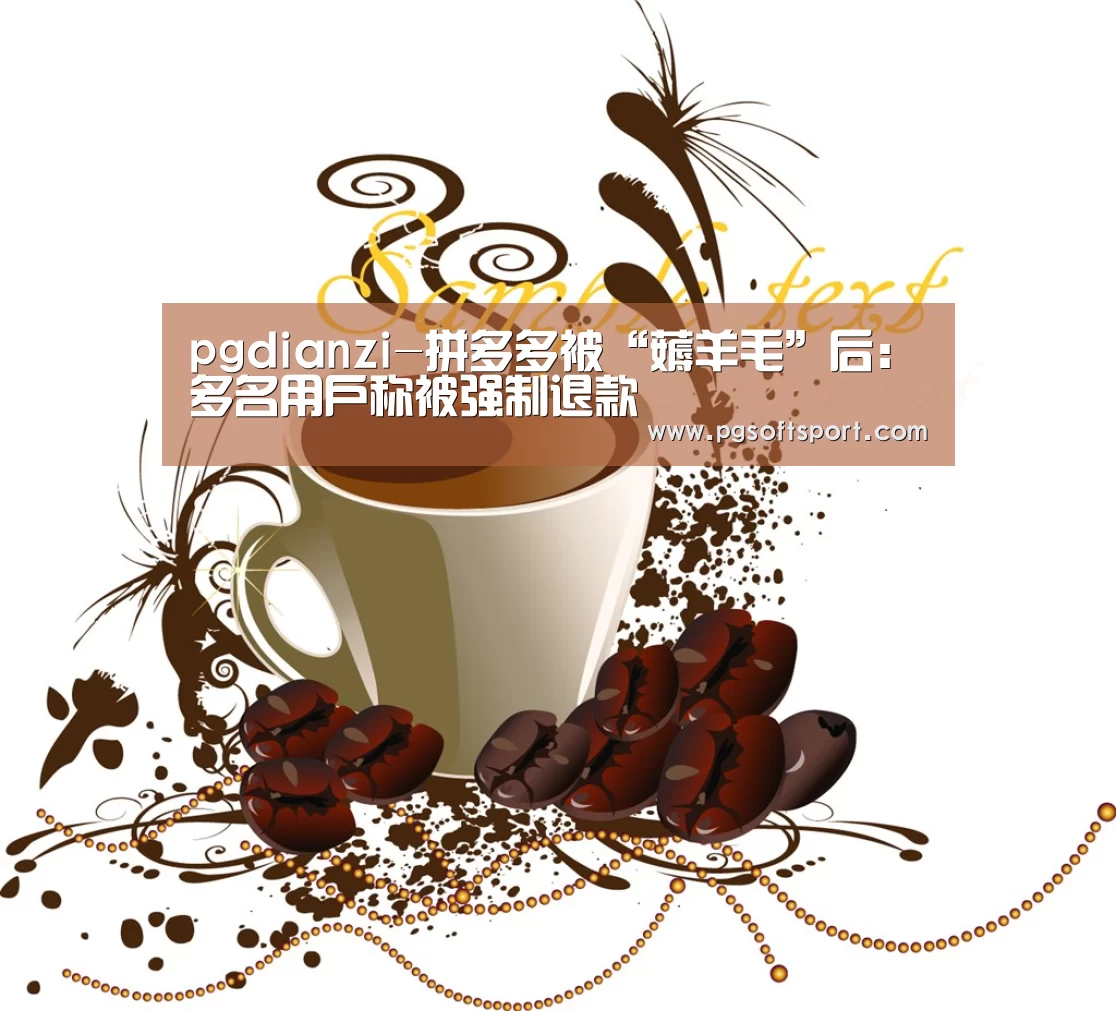 pgdianzi-拼多多被“薅羊毛”后：多名用户称被强制退款