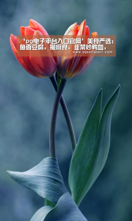 pg电子平台入口官网