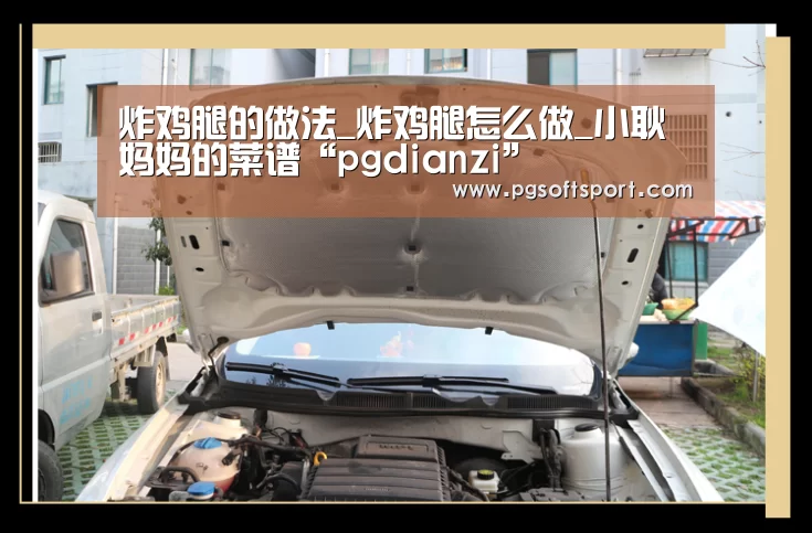 炸鸡腿的做法_炸鸡腿怎么做_小耿妈妈的菜谱“pgdianzi”